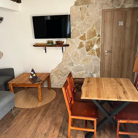 Apartment Rossi Brzac