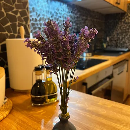 Appartement Rossi Brzac