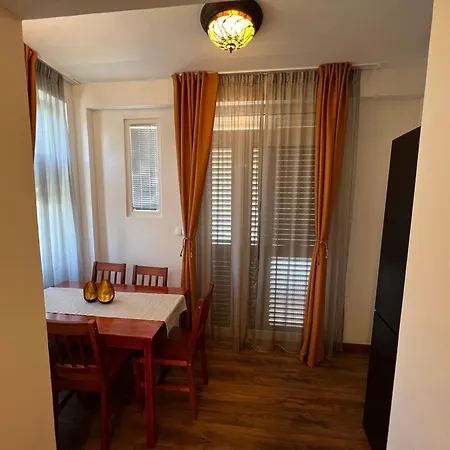 Apartment Rossi Brzac