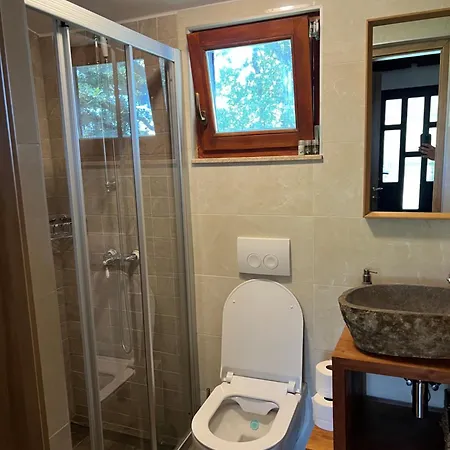Apartment Rossi Brzac